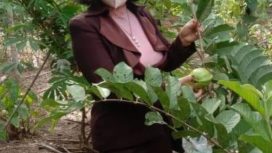Sekretaris Komisi II DPRD Kabupaten Gunung Mas, Pdt. Rayaniatie Djangkan.