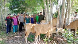 FOTO  : Penyerahan bantuan bibit ternak sapi kepada kelompok tani di Desa Pilang Munduk Kecamatan Kurun, Selasa 17 Oktober 2023.