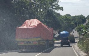 Izin Angkut Kayu Log dari PBS Dipertanyakan