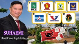 Suhaemi Bakal Calon Bupati Katingan 2024