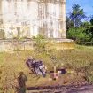 Screnshoot video yang memperlihatkan seorang pria tewas bersama motornya diduga Terjun dari pembangunan jembatan di Kelurahan Sepang Simin, Kecamatan Sepang, pada Jumat (5/7/2024).