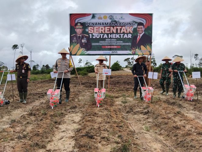 
					TANAM JAGUNG : Pj Bupati Gumas Herson B Aden bersama Kapolres AKBP Theodorus Priyo Santosa, Pabung Kodim 1016/Plk Letkol Inf Maksun Abadi, dan Kepala Dinas Pertanian Aryantoni, melakukan penanaman jagung, di lahan milik poktan Desa Tanjung Riu, Kecamatan Kurun, Selasa, 21 Januari 2025.