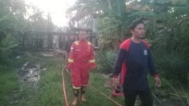 FOTO : Kondisi Kandang ayam usai kebakaran, dan dibantu oleh tim pemadam kebakaran.
