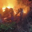 FOTO : Suasana saat terjadi kebakaran di Tumbang Manggu.

