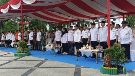 FOTO : Wabup Firdaus, saat hadiri apel kesiapsiagaan Karhutla Kalteng.