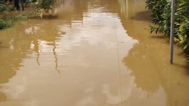 BANJIR : Sejumlah rumah warga terendam banjir akibat intensitas hujan tinggi dan meluapnya Sungai Kahayan, di Kelurahan Tewah, Kecamatan Tewah, Jumat, 22 Agustus 2025.