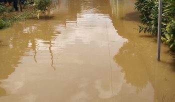 BANJIR : Sejumlah rumah warga terendam banjir akibat intensitas hujan tinggi dan meluapnya Sungai Kahayan, di Kelurahan Tewah, Kecamatan Tewah, Jumat, 22 Agustus 2025.