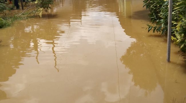 BANJIR : Sejumlah rumah warga terendam banjir akibat intensitas hujan tinggi dan meluapnya Sungai Kahayan, di Kelurahan Tewah, Kecamatan Tewah, Jumat, 22 Agustus 2025.