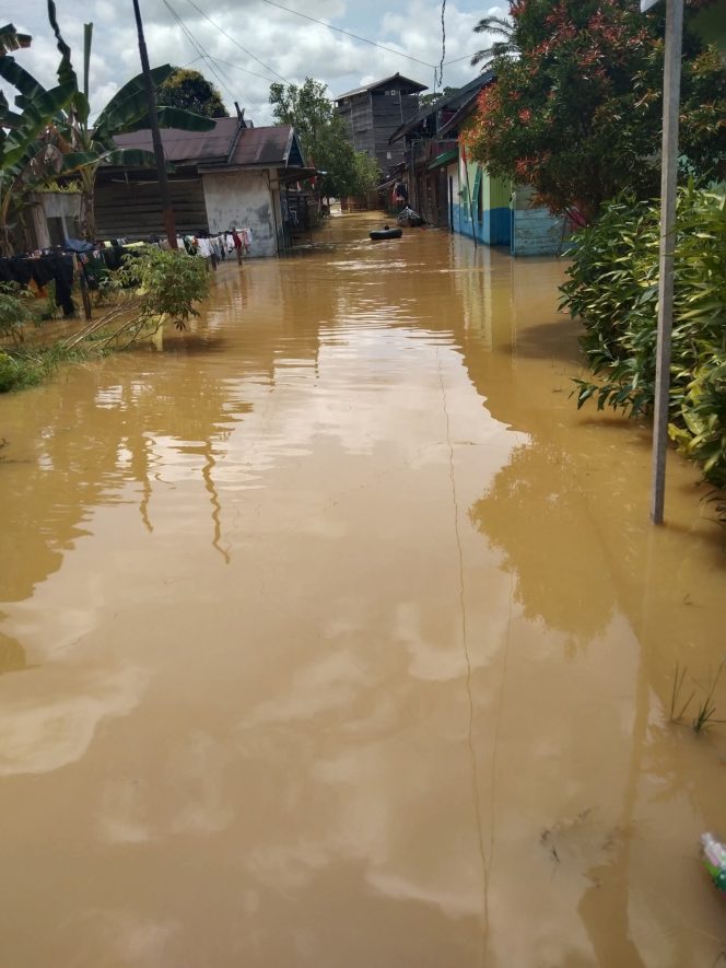 
					BANJIR : Sejumlah rumah warga terendam banjir akibat intensitas hujan tinggi dan meluapnya Sungai Kahayan, di Kelurahan Tewah, Kecamatan Tewah, Jumat, 22 Agustus 2025.
