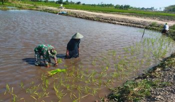 FOTO : Suasana Babinsa saat bersama petani di Kecamatan Katingan Kuala.
