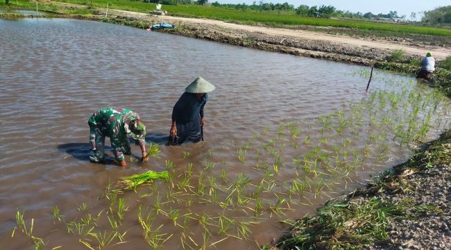 FOTO : Suasana Babinsa saat bersama petani di Kecamatan Katingan Kuala.
