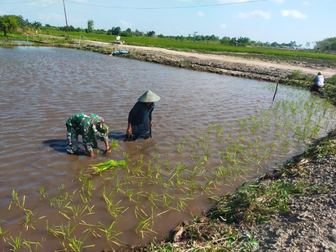 
					FOTO : Suasana Babinsa saat bersama petani di Kecamatan Katingan Kuala.

