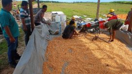 PANTAU : Personel Polsek Manuhing ketika pantau pengolahan hasil panen jagung, Rabu, 26 November 2025