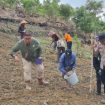 TANAM JAGUNG : Sejumlah pihak terkait ketika melakukan penanaman jagung kuartal II tahun 2026, di lahan milik Kelompok Tani Saribumi, Kamis, 23 April 2026.