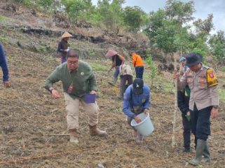 TANAM JAGUNG : Sejumlah pihak terkait ketika melakukan penanaman jagung kuartal II tahun 2026, di lahan milik Kelompok Tani Saribumi, Kamis, 23 April 2026.