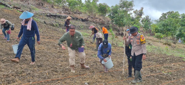 TANAM JAGUNG : Sejumlah pihak terkait ketika melakukan penanaman jagung kuartal II tahun 2026, di lahan milik Kelompok Tani Saribumi, Kamis, 23 April 2026.