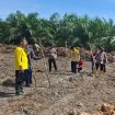 TANAM JAGUNG : Seluruh pihak terkait melakukan penanaman jagung hibrida, di lahan milik Pemerintah Desa Bereng Belawan, Kecamatan Manuhing, Jumat, 1 Mei 2026.