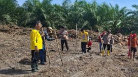 TANAM JAGUNG : Seluruh pihak terkait melakukan penanaman jagung hibrida, di lahan milik Pemerintah Desa Bereng Belawan, Kecamatan Manuhing, Jumat, 1 Mei 2026.