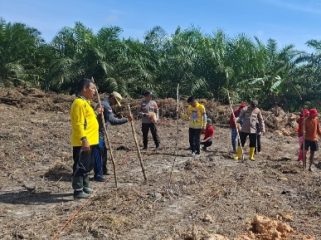 TANAM JAGUNG : Seluruh pihak terkait melakukan penanaman jagung hibrida, di lahan milik Pemerintah Desa Bereng Belawan, Kecamatan Manuhing, Jumat, 1 Mei 2026.