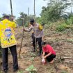 TANAM JAGUNG : Kapolsek Rungan Ipda M. Helmi Hakim, S.H bersama personel polsek, perangkat desa dan pengurus BUMDes, ketika melakukan penanaman jagung di Desa Jalemu Masulan, Kecamatan Rungan Barat, usai pelaksanaan penanaman jagung, Kamis, 7 Mei 2026.