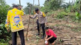 TANAM JAGUNG : Kapolsek Rungan Ipda M. Helmi Hakim, S.H bersama personel polsek, perangkat desa dan pengurus BUMDes, ketika melakukan penanaman jagung di Desa Jalemu Masulan, Kecamatan Rungan Barat, usai pelaksanaan penanaman jagung, Kamis, 7 Mei 2026.