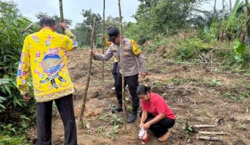 TANAM JAGUNG : Kapolsek Rungan Ipda M. Helmi Hakim, S.H bersama personel polsek, perangkat desa dan pengurus BUMDes, ketika melakukan penanaman jagung di Desa Jalemu Masulan, Kecamatan Rungan Barat, usai pelaksanaan penanaman jagung, Kamis, 7 Mei 2026.