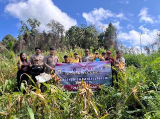 PANEN : Suasana pelaksanaan panen jagung hibrida kuartal I tahun 2026, di lahan Desa Batu Puter, Kecamatan Rungan Hulu, Kamis, 21 Mei 2026.