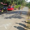 Roy Mandagi Ayah Korban Saat Menunjukan Lokasi Kejadian Tewasnya Anak Keduanya Usai Terlindas Truk di Jalan Kolonel Untung Suropati Jalan Puruk Cahu - Saripoi, Kamis (28/5/2026).