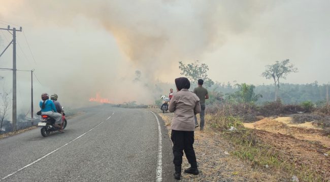 TERBAKAR : Sejumlah pihak terkait berjibaku memadamkan api yang membakar lahan di ruas jalan lintas Kurun-Tewah, tepatnya di kilometer 8, Kecamatan Tewah, Selasa, 18 Agustus 2026 sore.