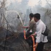 PADAMKAN : Tim gabungan ketika berupaya untuk memadamkan karhutla di Jalan Lintas Kecamatan Tewah menuju Kurun, tepatnya KM 8, Senin, 24 Agustus 2026.