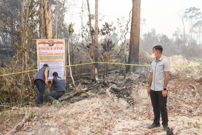 
					POLICE LINE : Kasat Reskrim Polres Gumas AKP Agung Gunawan Putra, S.T.K, S.I.K, M.H, CPHR, CBA, bersama personel, ketika memasang police line di lokasi dugaan pembakaran lahan, di pinggir Jalan Lintas Kurun-Tewang Pajangan, kawasan Jembatan Nango, Desa Tewang Pajangan, Kecamatan Kurun, Rabu, 2 September 2026.
