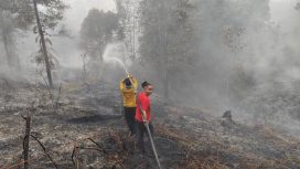 PADAMKAN : Personel gabungan ketika berupaya memadamkan api di kawasan Jalan Piere Tendean III, Kecamatan Kurun, Senin, 7 September 2026.
